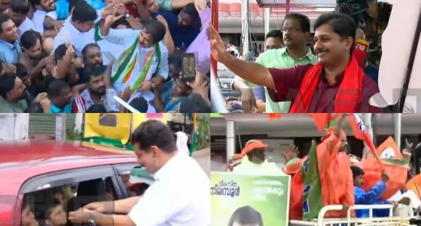 നിലമ്പൂർ ഉപതിരഞ്ഞെടുപ്പ് : പ്രചാരണം കൊടിയിറങ്ങി; വിധിയെഴുത്ത് മറ്റന്നാള്‍